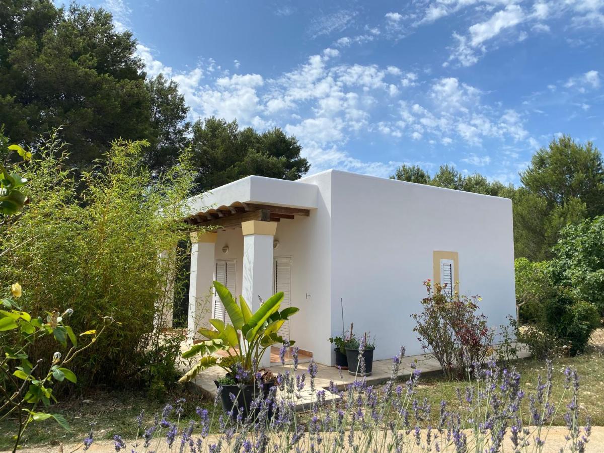 Villa Can Toni Miqueli Santa Gertrudis  Exterior photo